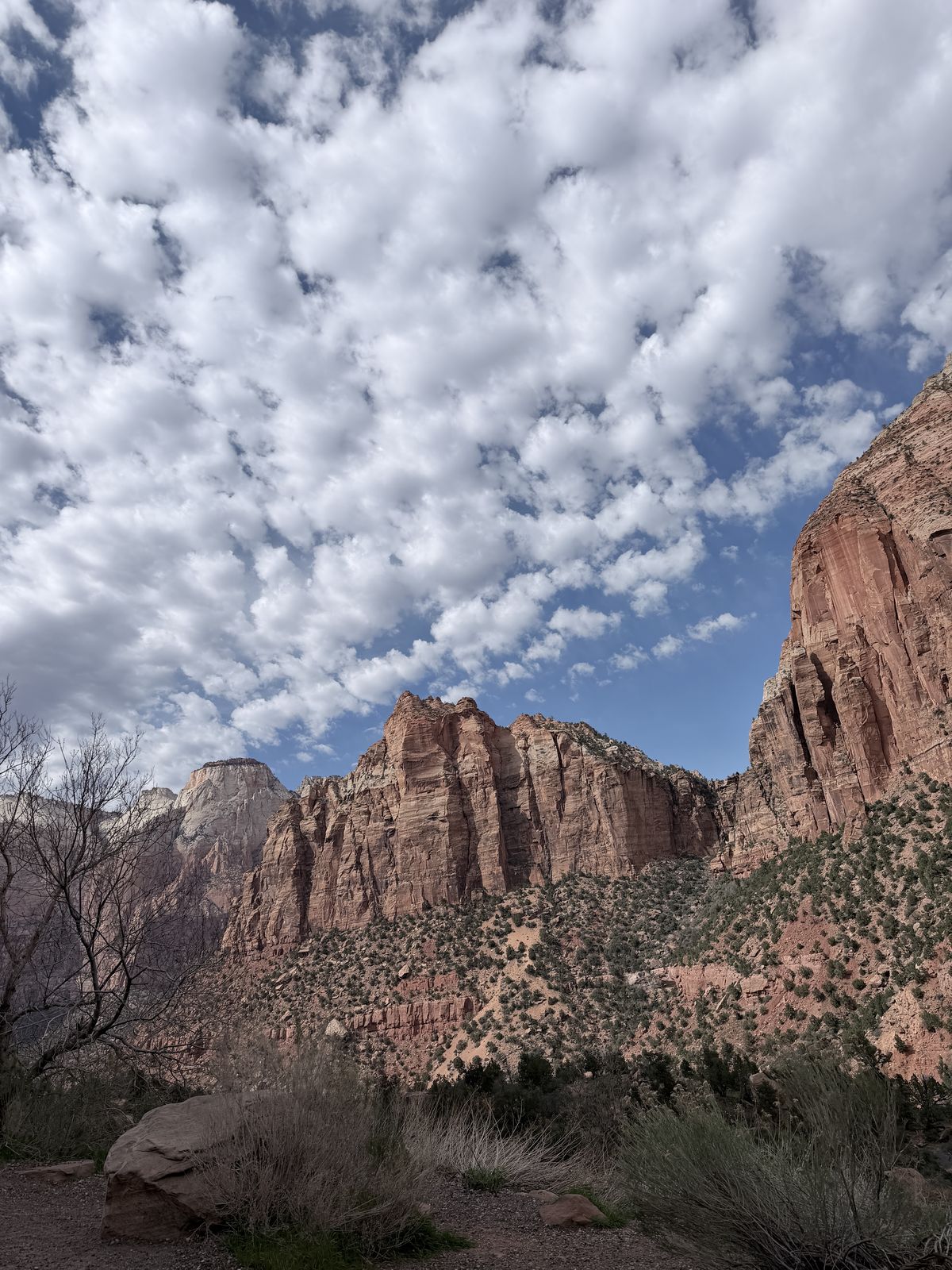 Zion National Park canyon walls under a broken cloud sky in March.